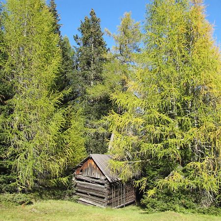 Pepis Ferienwohnungen Inklusive Sommercard Jerzens Eksteriør bilde